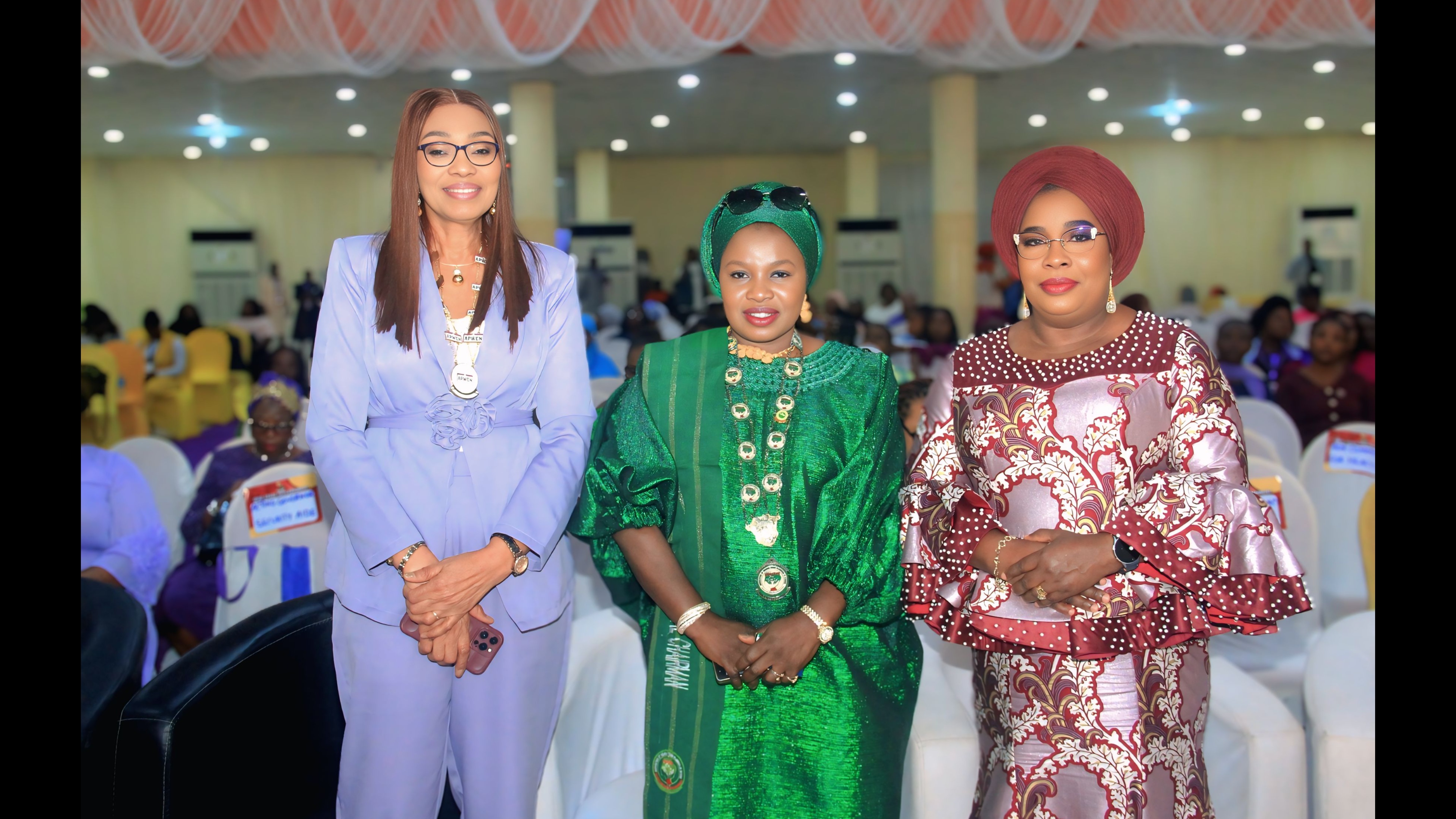  NSE President, Margaret Oguntala Chairs the 2025 APWEN international Conference
